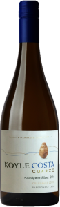 Sauvignon Blanc Wein aus Chile online bestellen