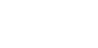 Bisquertt-Logo